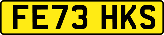 FE73HKS