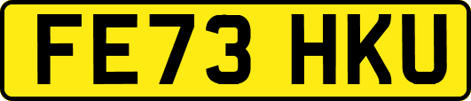 FE73HKU