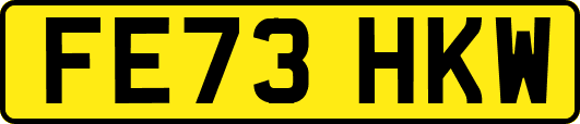 FE73HKW