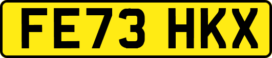 FE73HKX