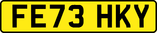 FE73HKY