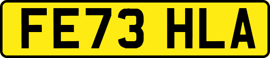 FE73HLA