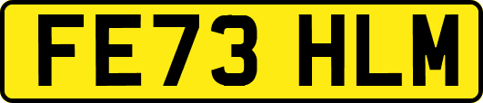 FE73HLM