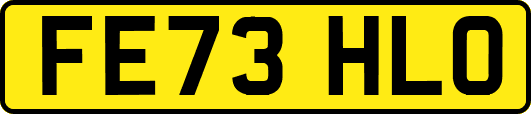 FE73HLO