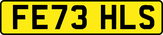 FE73HLS