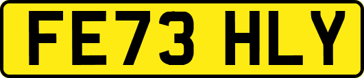 FE73HLY