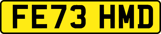 FE73HMD