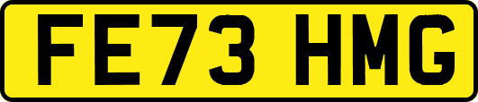 FE73HMG