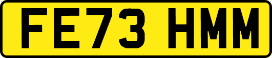 FE73HMM