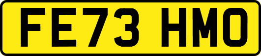 FE73HMO