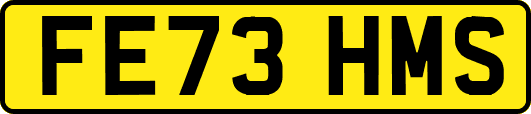 FE73HMS
