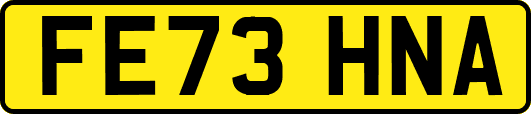 FE73HNA