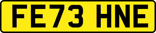 FE73HNE