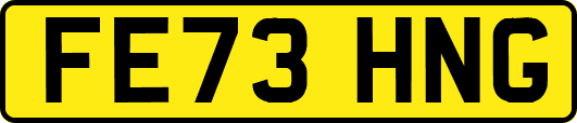 FE73HNG