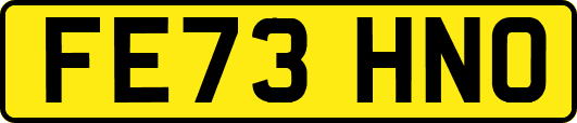 FE73HNO