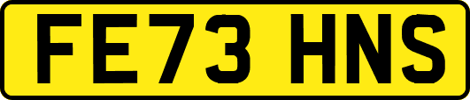 FE73HNS