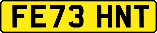 FE73HNT
