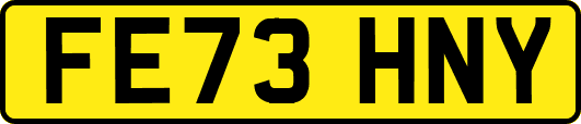 FE73HNY