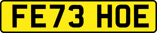 FE73HOE