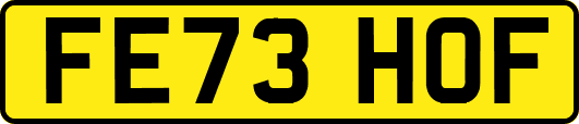FE73HOF