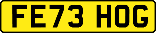 FE73HOG
