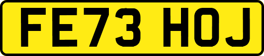 FE73HOJ
