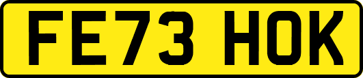 FE73HOK