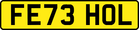 FE73HOL