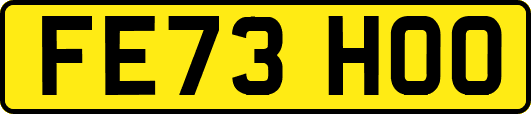 FE73HOO