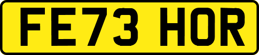 FE73HOR