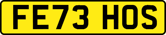 FE73HOS