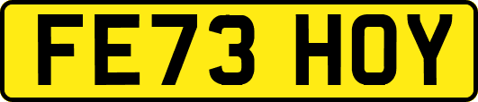FE73HOY