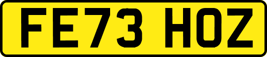FE73HOZ