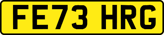 FE73HRG