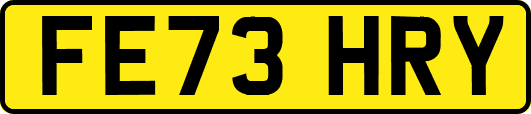 FE73HRY
