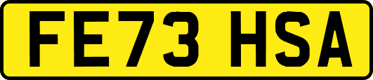 FE73HSA