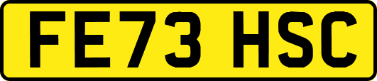 FE73HSC