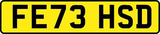 FE73HSD