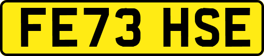 FE73HSE
