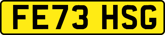 FE73HSG