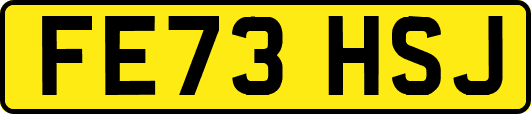 FE73HSJ