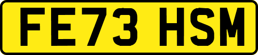 FE73HSM