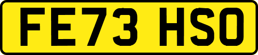 FE73HSO
