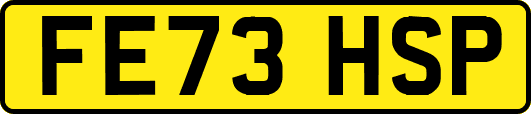 FE73HSP