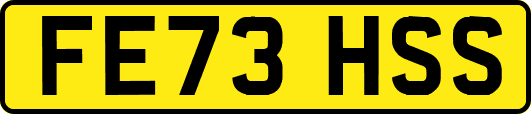 FE73HSS
