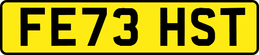 FE73HST