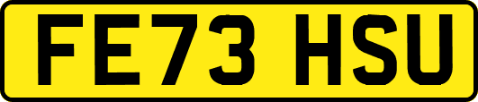 FE73HSU