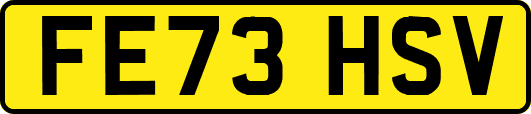 FE73HSV
