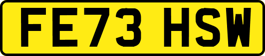 FE73HSW