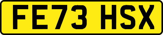 FE73HSX